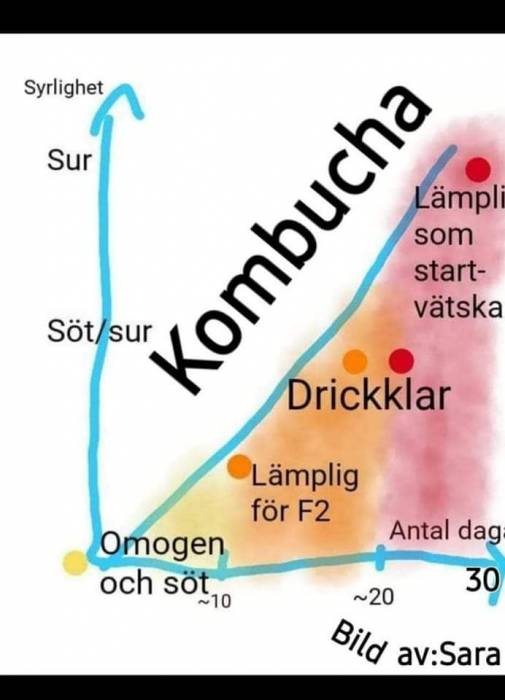 kombucha_diagram.jpg